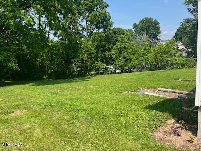 208 W 5th Ave, Everett, PA 15537 - view of grassy yard