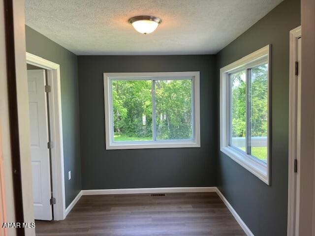 208 W 5th Ave, Everett, PA 15537 - empty room with plenty of natural light, dark wood finished floors, and a textured ceiling