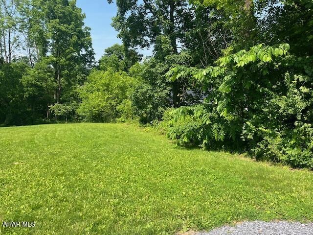 208 W 5th Ave, Everett, PA 15537 - view of yard