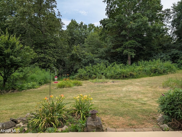 104 Sweet Gum Ln, Williamsburg, PA 16693 - photo 30