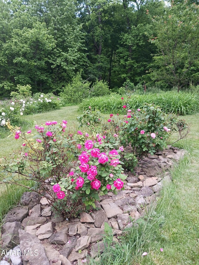104 Sweet Gum Ln, Williamsburg, PA 16693 - photo 31