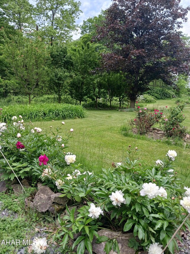 104 Sweet Gum Ln, Williamsburg, PA 16693 - photo 39