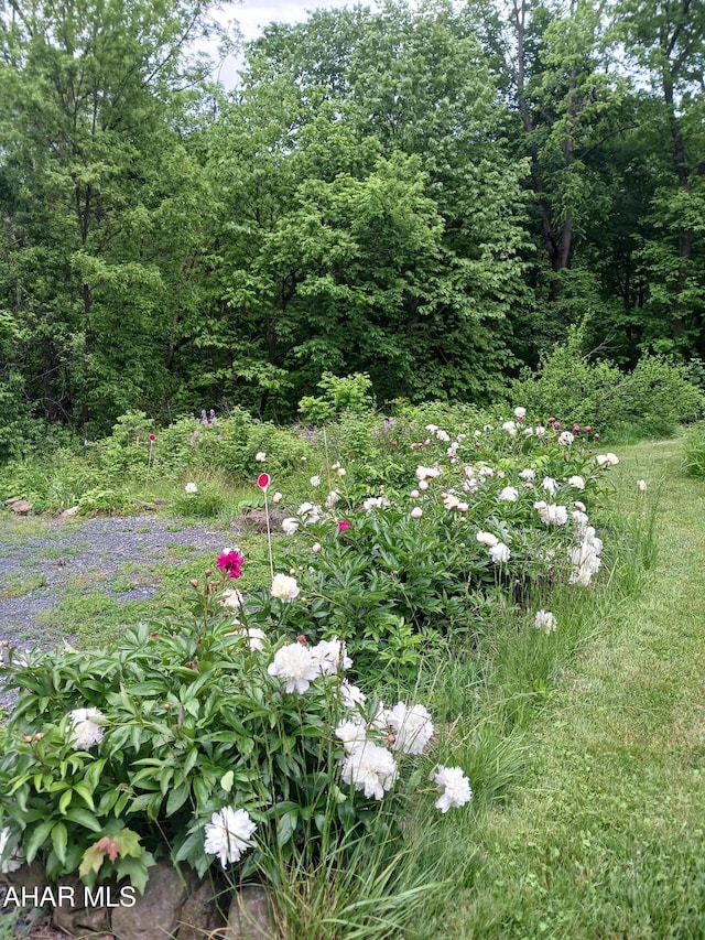 104 Sweet Gum Ln, Williamsburg, PA 16693 - photo 32