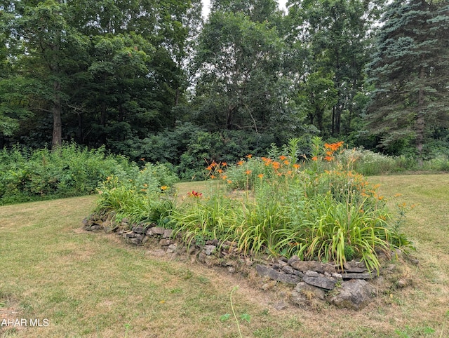 104 Sweet Gum Ln, Williamsburg, PA 16693 - photo 28