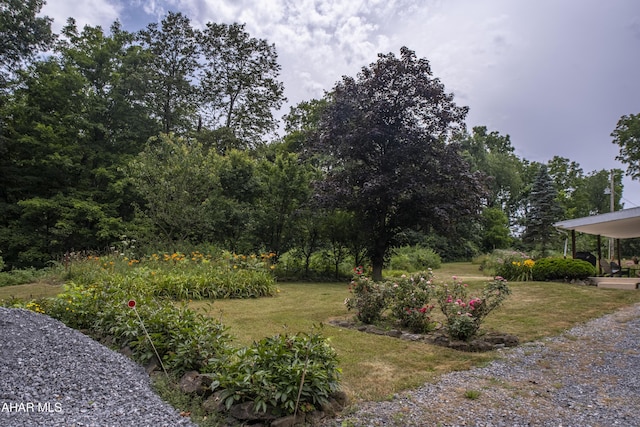 104 Sweet Gum Ln, Williamsburg, PA 16693 - photo 49