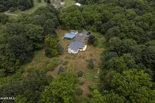 104 Sweet Gum Ln, Williamsburg, PA 16693 - photo 50