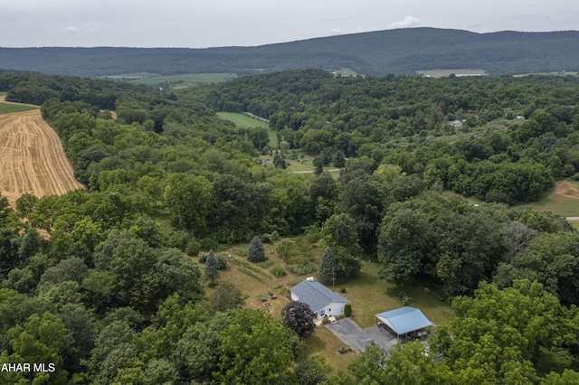 104 Sweet Gum Ln, Williamsburg, PA 16693 - photo 52