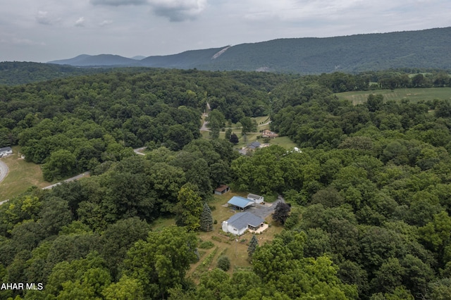 104 Sweet Gum Ln, Williamsburg, PA 16693 - photo 51