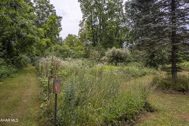 104 Sweet Gum Ln, Williamsburg, PA 16693 - photo 47