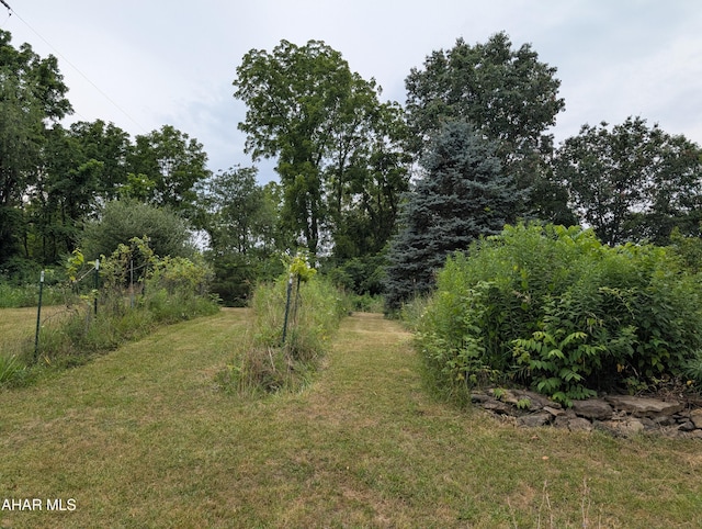 104 Sweet Gum Ln, Williamsburg, PA 16693 - photo 29