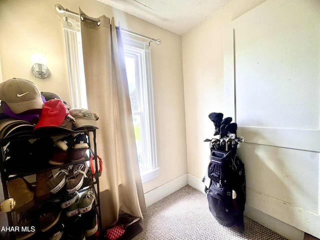 311 E Bell Ave, Altoona, PA 16602 - misc room featuring plenty of natural light and carpet floors