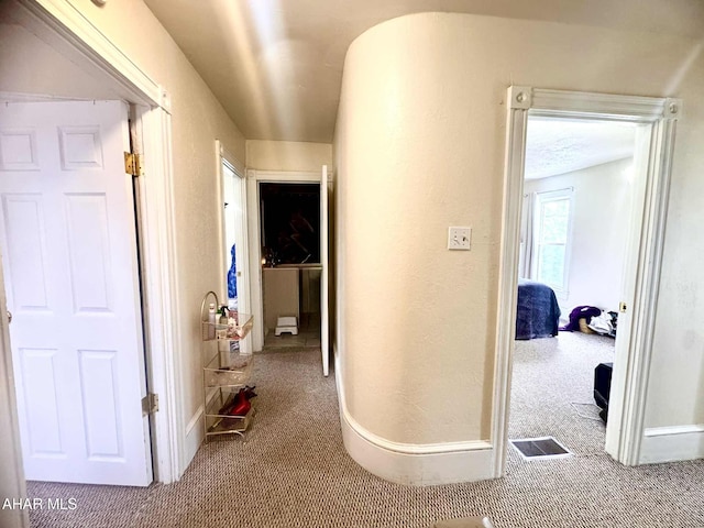 311 E Bell Ave, Altoona, PA 16602 - hallway with carpet floors