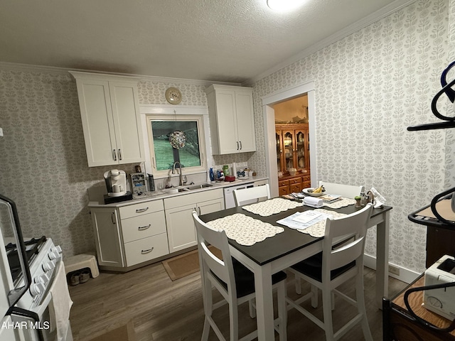 4815 6th Ave, Altoona, PA 16602 - kitchen with wood finished floors, white cabinets, ornamental molding, light countertops, and a textured ceiling