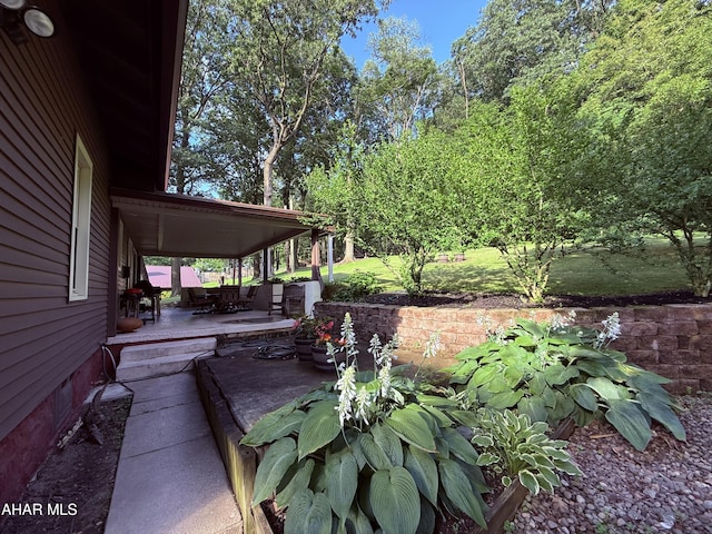 4815 6th Ave, Altoona, PA 16602 - view of patio