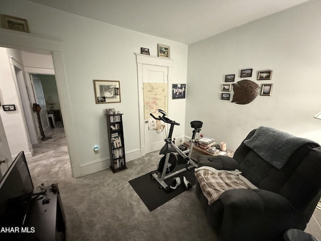 4815 6th Ave, Altoona, PA 16602 - workout room with carpet flooring and baseboards