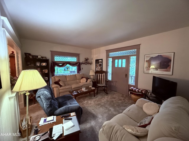 4815 6th Ave, Altoona, PA 16602 - living area featuring carpet and plenty of natural light