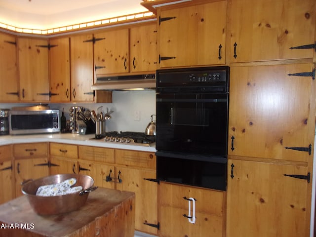3752 Main Rd, Bedford, PA 15522 - kitchen with stainless steel appliances, a warming drawer, under cabinet range hood, and light countertops