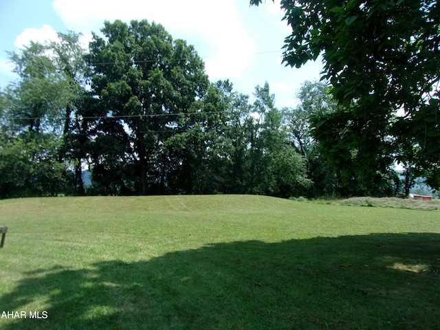 3752 Main Rd, Bedford, PA 15522 - view of grassy yard