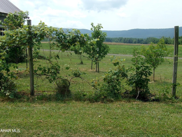 3752 Main Rd, Bedford, PA 15522 - mountain view with rural landscape