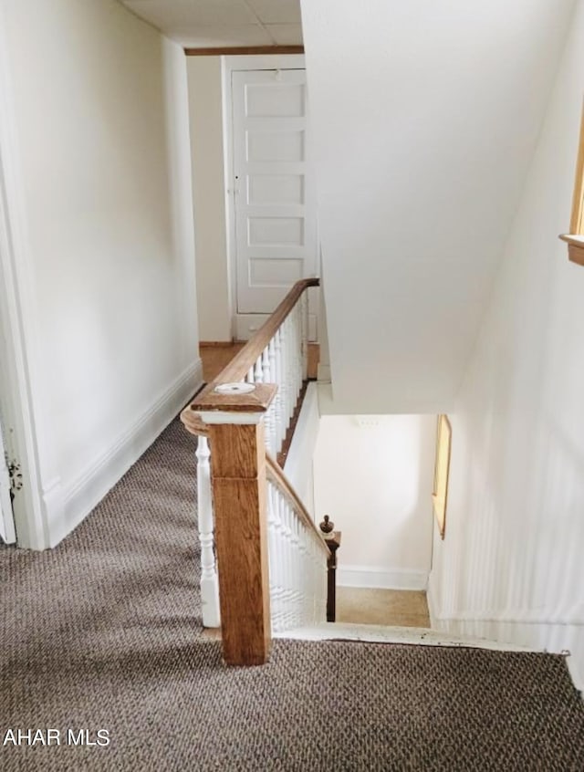 staircase featuring carpet flooring