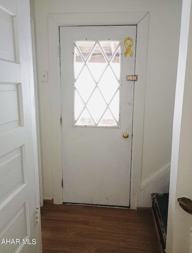 entryway featuring dark hardwood / wood-style flooring