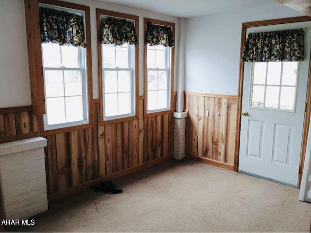 interior space with wood walls, light carpet, and a wealth of natural light