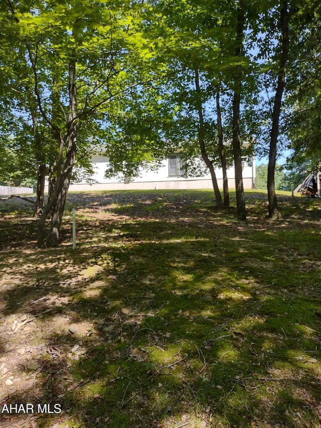 318 Walter Hollow Rd, Claysburg, PA 16625 - photo 55