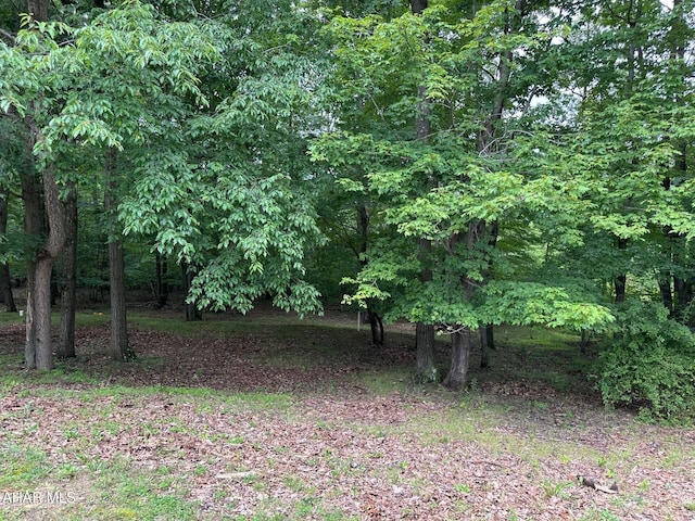 318 Walter Hollow Rd, Claysburg, PA 16625 - photo 42