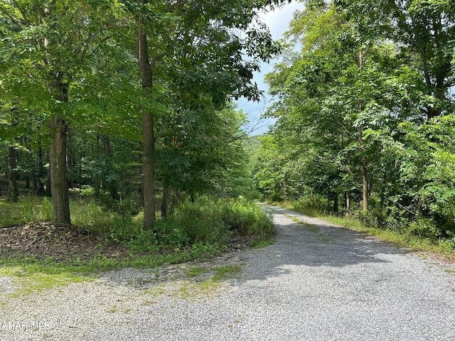 318 Walter Hollow Rd, Claysburg, PA 16625 - photo 39