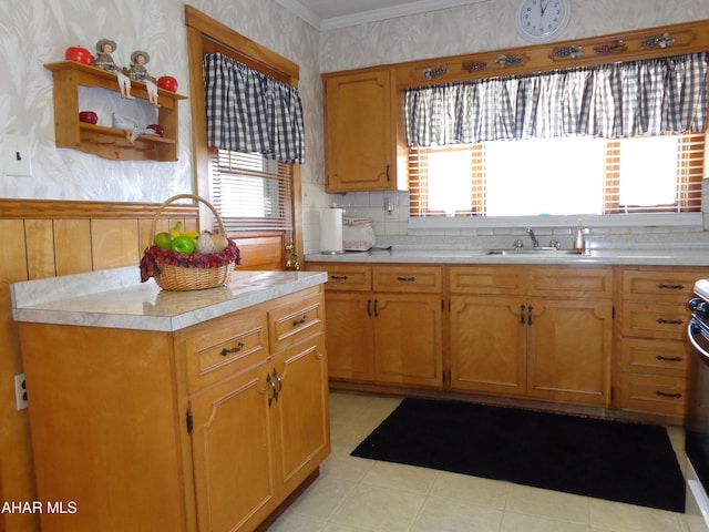 kitchen featuring stove, sink, and ornamental molding