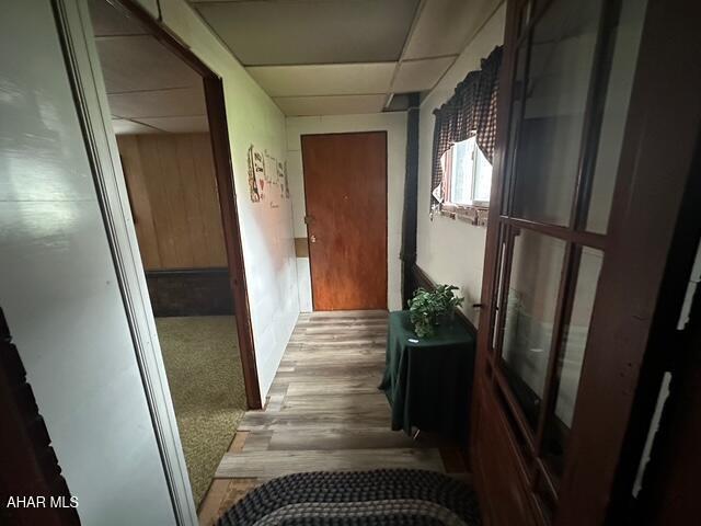 600 N 6th Ave, Altoona, PA 16601 - hallway with a drop ceiling, wood finished floors, and carpet flooring