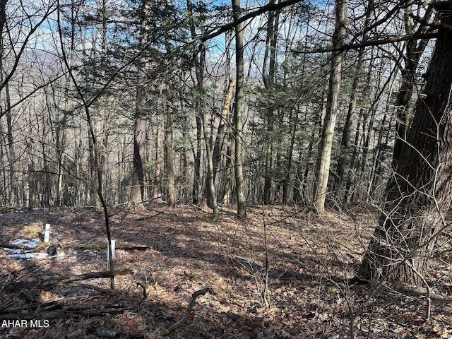 Off Natures Symphony Road, Imler PA, 16655 land for sale