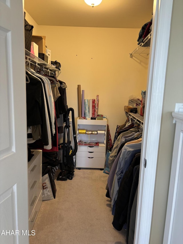 215 Red Fox Dr, Duncansville, PA 16635 - spacious closet with carpet