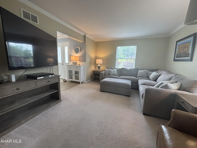 215 Red Fox Dr, Duncansville, PA 16635 - carpeted living area with crown molding and baseboards
