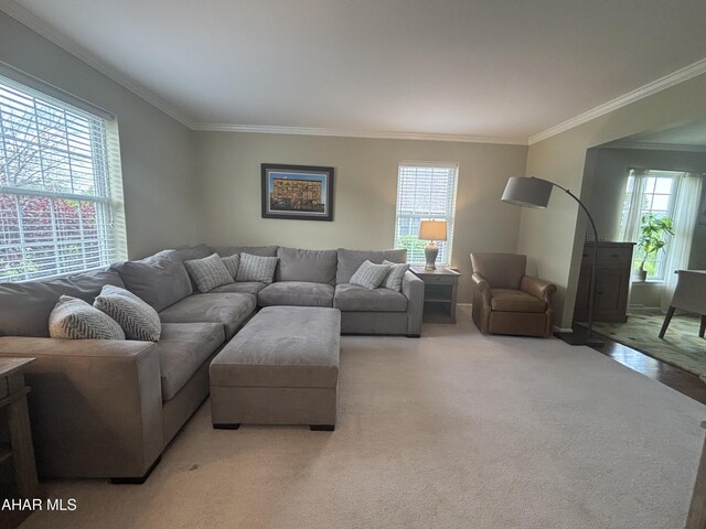215 Red Fox Dr, Duncansville, PA 16635 - living area with crown molding, healthy amount of natural light, and light carpet