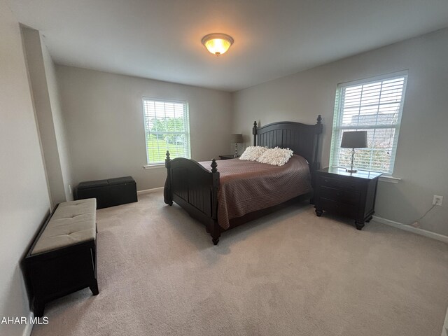 215 Red Fox Dr, Duncansville, PA 16635 - bedroom featuring light carpet and baseboards