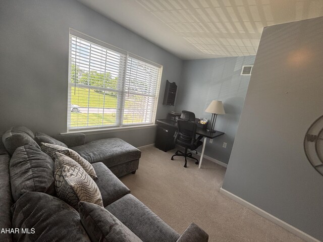 215 Red Fox Dr, Duncansville, PA 16635 - office space with carpet and baseboards