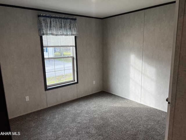 carpeted empty room featuring ornamental molding