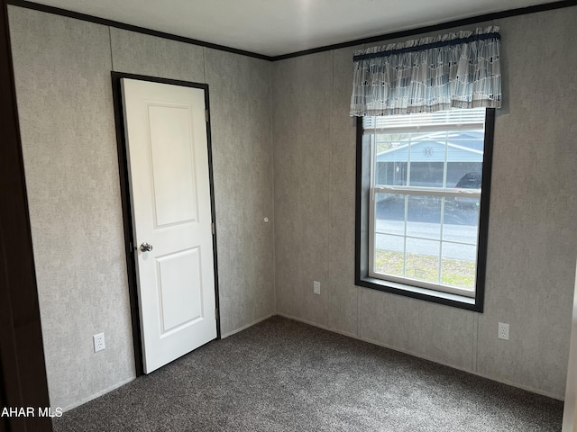 spare room with carpet flooring and crown molding