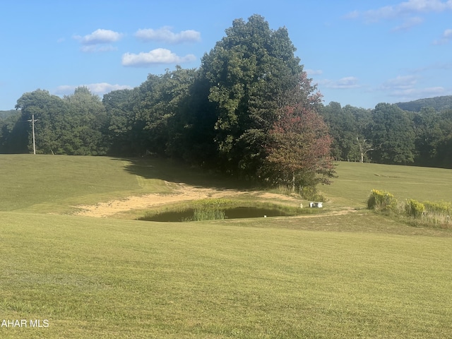 view of yard featuring a water view