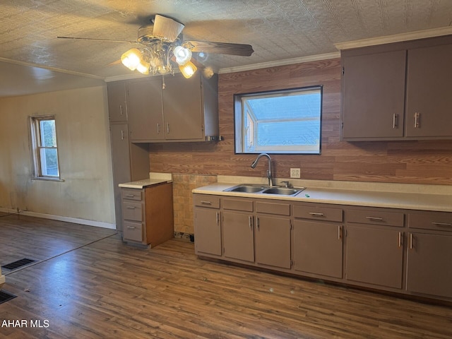 kitchen featuring wooden walls, sink, and wood-type flooring