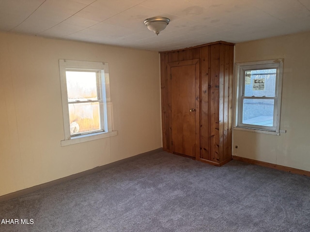 unfurnished bedroom with carpet floors and multiple windows