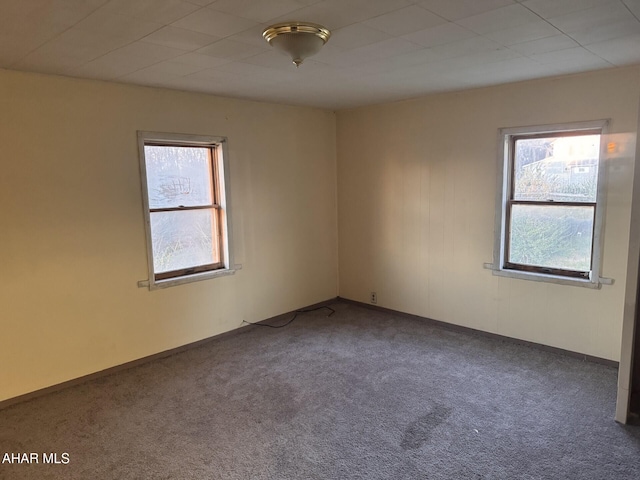 carpeted empty room featuring plenty of natural light