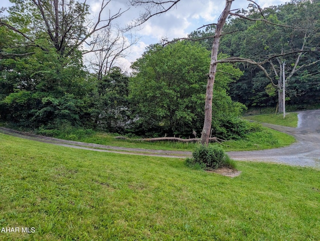 225 Mickel Ln, Duncansville, PA 16635 - view of green lawn