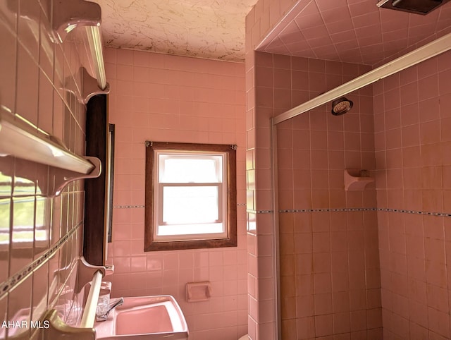 225 Mickel Ln, Duncansville, PA 16635 - full bath with a shower stall and tile walls