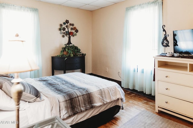 bedroom featuring a paneled ceiling, wood-type flooring, and multiple windows