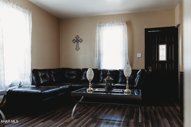 living room featuring plenty of natural light and wood-type flooring