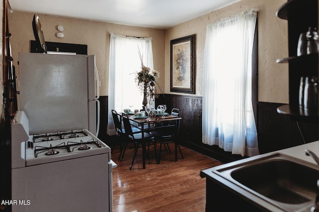 kitchen with dark hardwood / wood-style flooring, white appliances, and sink