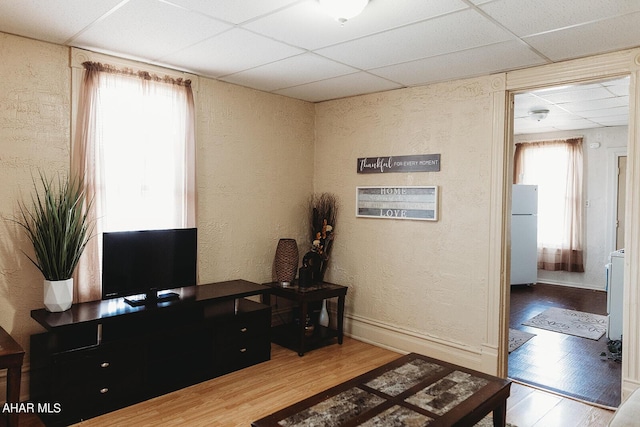 office with washer / clothes dryer, a drop ceiling, and hardwood / wood-style flooring