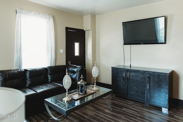 living room featuring dark hardwood / wood-style floors